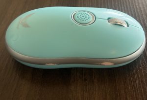 IMG_4920-300x205 Usuario